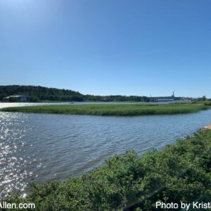 5516190434 (17.6.2021 18.74 km Thursday Run)