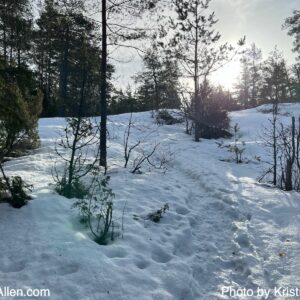 11283529008 (4.2.2024 18.64 km Sunday Run)
