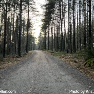 14031566363 (5.3.2025 9.13 km Wednesday Run)