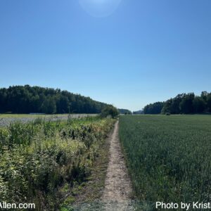 15300069621 (25.7.2025 8.57 km Friday Run)