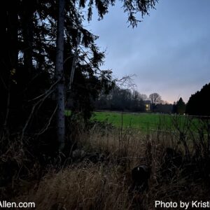 16404615840 (6.11.2025 10.43 km Thursday Run)