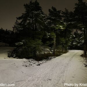 16544491836 (21.11.2025 9.19 km Friday Run)