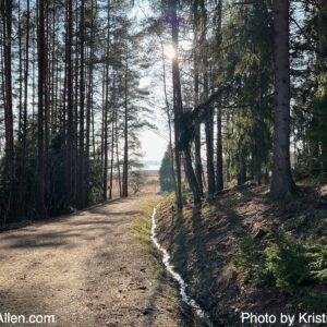 17975895186 (31.3.2026 11.11 km Tuesday Run)