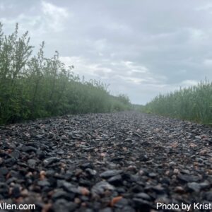 19192525884 (5.7.2026 9.11 km Sunday Run)